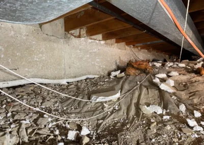 3472 Assiniboine Grove, Winnipeg