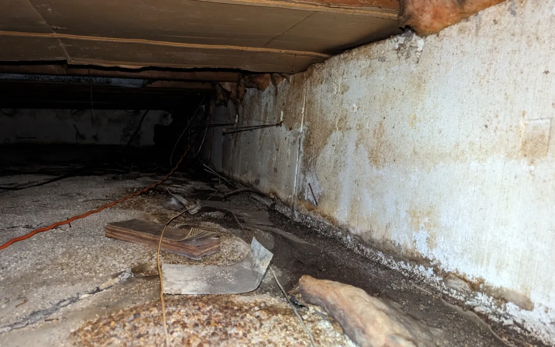 Winnipeg Project – View More