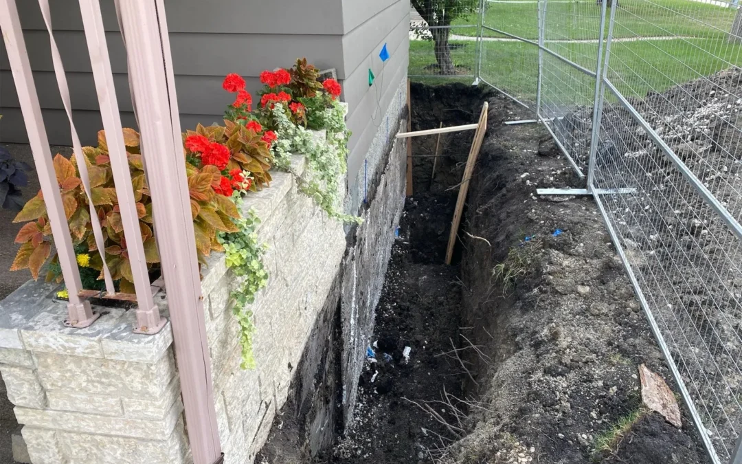 Project #4 – View More