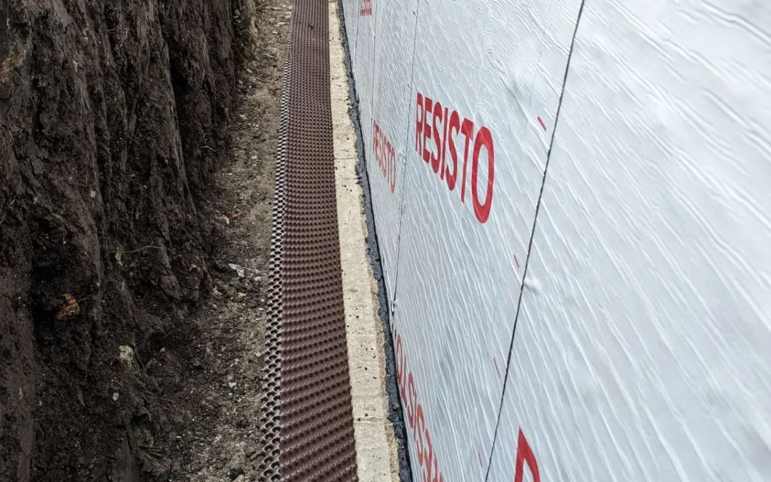 Project #3 – View More