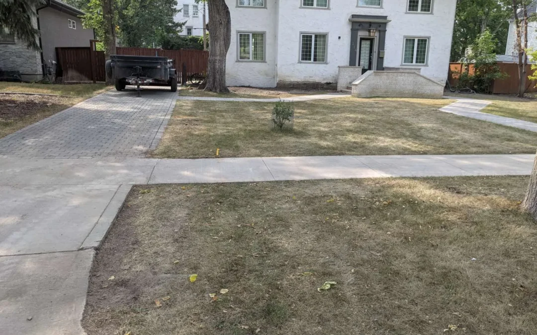 Project #5 – View More