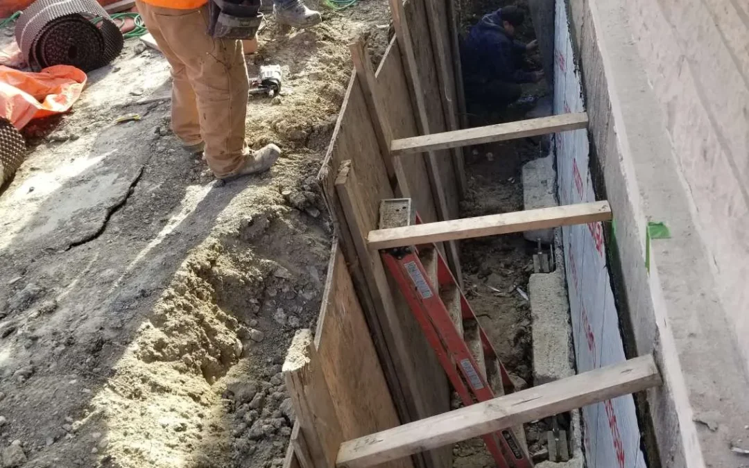 Project #1 – View More